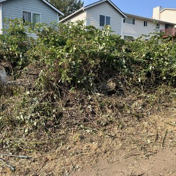 Ace 1 Construction & Landscaping - Landscaping Near Me