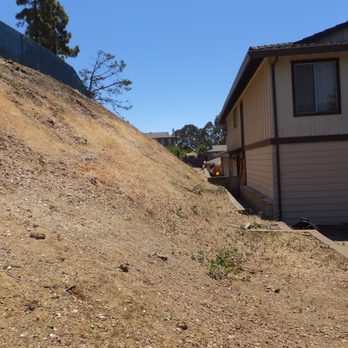 JMV Tree Service - Trees removed by JMV - Tree Services Near Me - Hayward, California JMV Tree Service - Trees removed by JMV - Tree Services Near Me - Hayward, California
