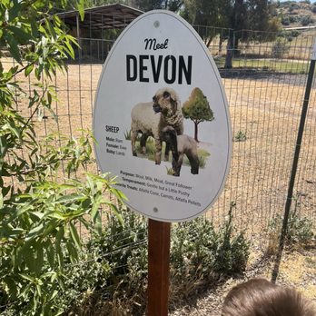 Happy Hens - Signs that the names of the animals - Attraction Farms Near Me - Ramona, California Happy Hens - Signs that the names of the animals - Attraction Farms Near Me - Ramona, California