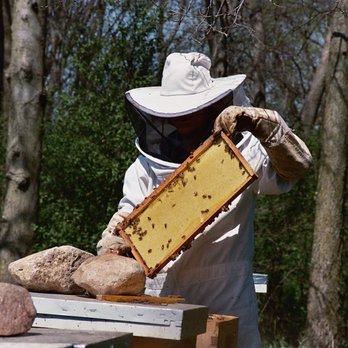 Fieldstone Apiaries - Beekeeping - Honey Near Me Fieldstone Apiaries - Beekeeping - Honey Near Me