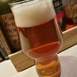 Sori Taproom - Out of office-IPA