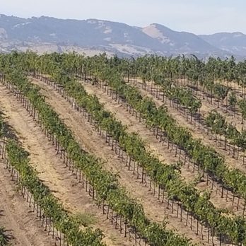 Eberle Winery - Wineries Near Me - Paso Robles, California