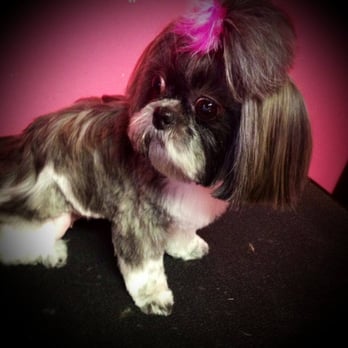 Pawtastic Grooming - Pet Groomers Near Me - Bossier City, Louisiana Pawtastic Grooming - Pet Groomers Near Me - Bossier City, Louisiana
