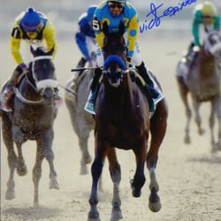 Hall Of Fame Collectables