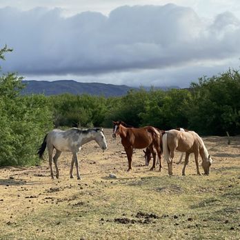Far Flung Outdoor Center - Tours Near Me - Terlingua, Texas