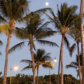 Barefoot Beach Cafe - Breakfast & Brunch Near Me - Honolulu, Hawaii Barefoot Beach Cafe - Breakfast & Brunch Near Me - Honolulu, Hawaii