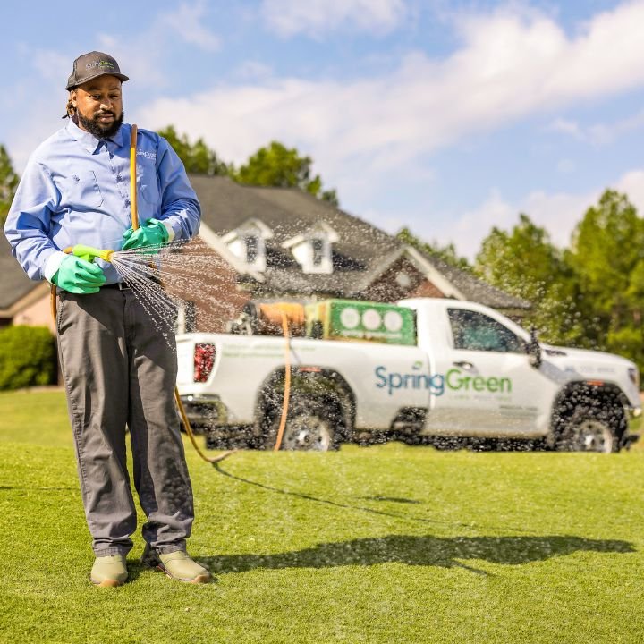 SpringGreen - tree service in Huntsville, AL
