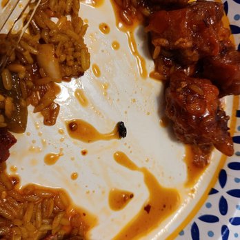Hong Kong House - 06/05/2021 - Some type of insect in my takeout General Tso's Dinner Combo. - Chinese Near Me - North Miami, Florida Hong Kong House - 06/05/2021 - Some type of insect in my takeout General Tso's Dinner Combo. - Chinese Near Me - North Miami, Florida
