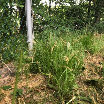 Babe's Lawn Care - You're actually paid for this job??? - Landscaping Near Me - Brimfield, Massachusetts