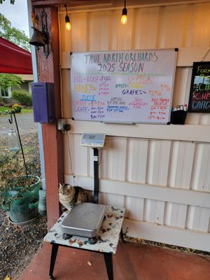 True North Orchards by null