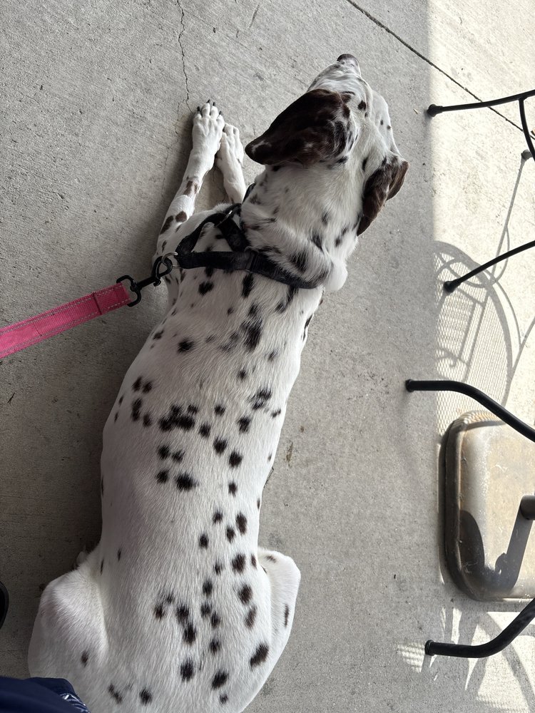 Mercer's Fresh Roasted Coffees