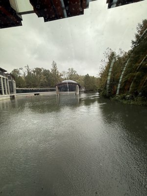 Eleven at Crystal Bridges by null