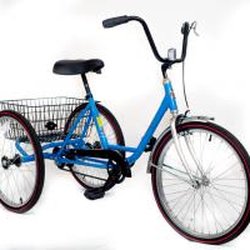 Pierik Cycle - Adult Trikes In Stock