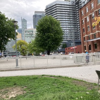Clarence Square Park - Dog Parks Near Me - Toronto, Ontario