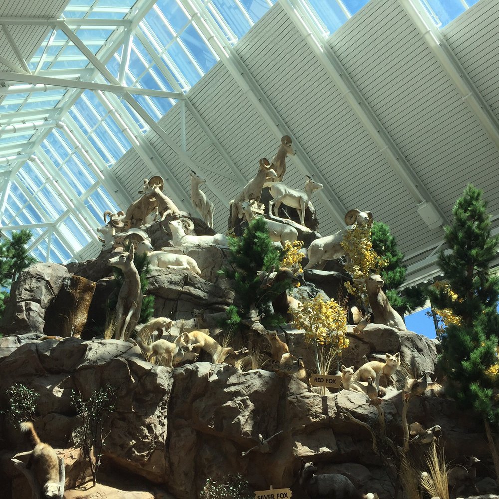 Scheels - Sports Wear Near Me - Sparks, Nevada Scheels - Sports Wear Near Me - Sparks, Nevada