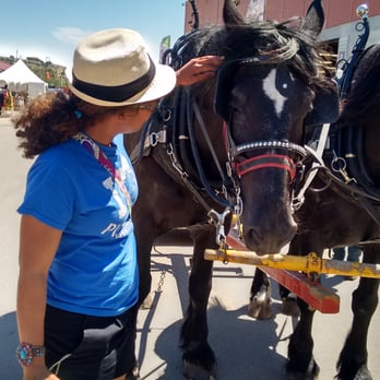 Calgary Stampede - Festivals Near Me - Calgary, Alberta