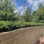 Photo of The Dr. Martin Luther King, Jr., Memorial Gardens