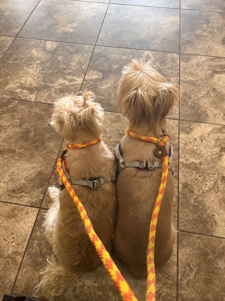 Texas Coalition for Animal Protection - Fort Worth - social services organization in Fort Worth, TX