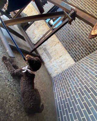 Drake's Yoke by null