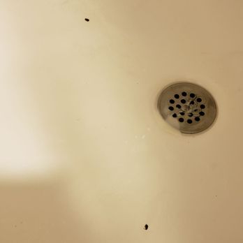 MacArthur Village - Roaches even appearing in my tub! YUCK! - Condominiums Near Me - Santa Ana, California