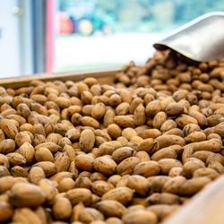 Comal Pecan Farm