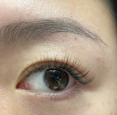 Glam Lash Extension by null