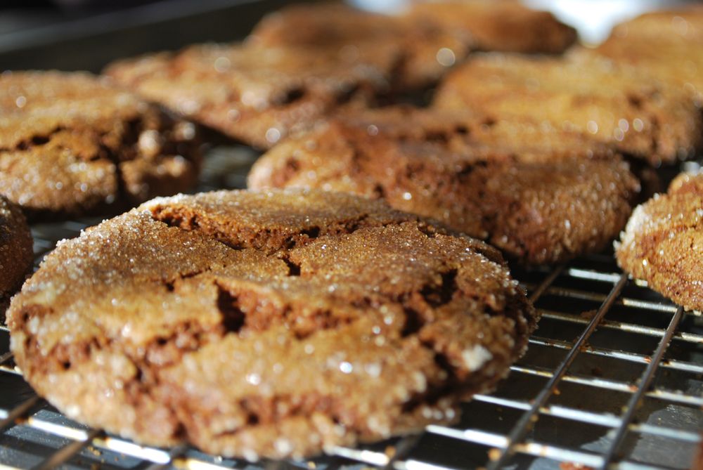 COMMON CRUMB 23 Photos & 21 Reviews 1011 Hoosick Rd, Troy, New York Bakeries Phone