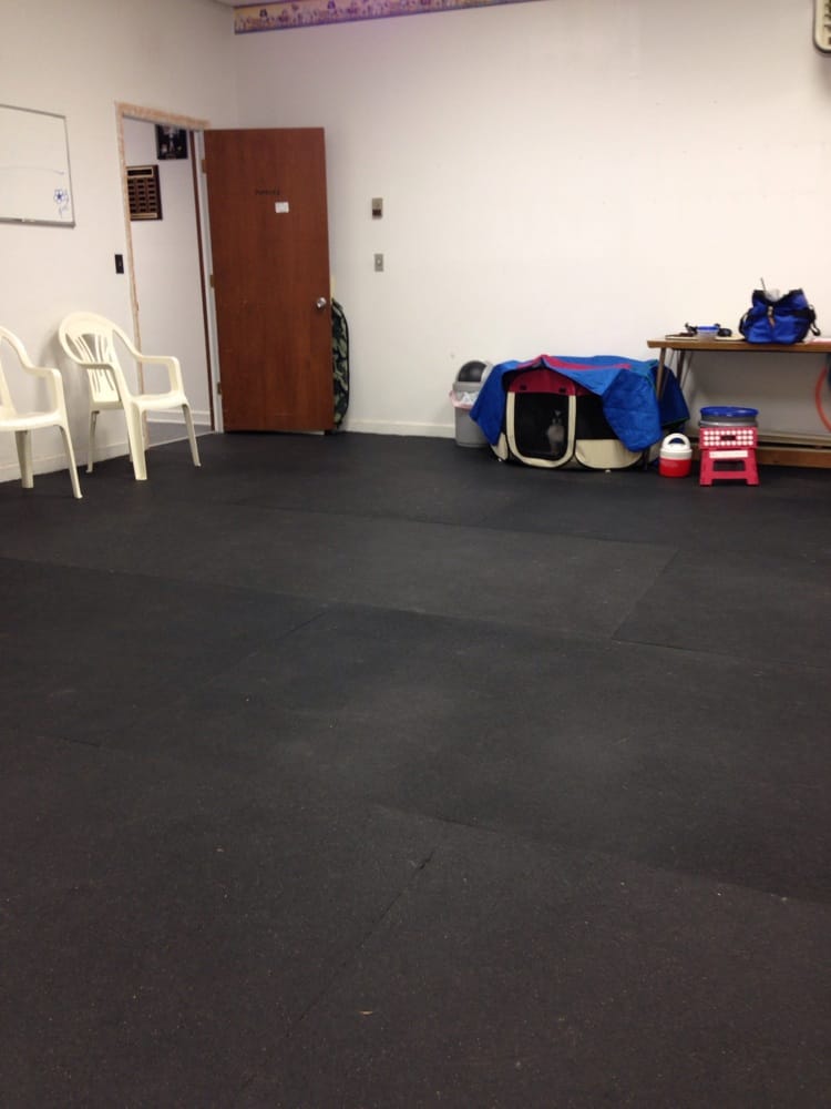 WINSTON SALEM DOG TRAINING CLUB Updated September 2024 3800