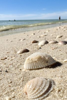 Lovers Key State Park by null