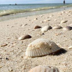 Lovers Key State Park