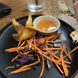 Bodhi Asian Street Eats - Hand made Crab Rangoon