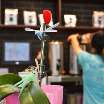 COMEBUY - Bubble Tea Near Me - Berlin, BE