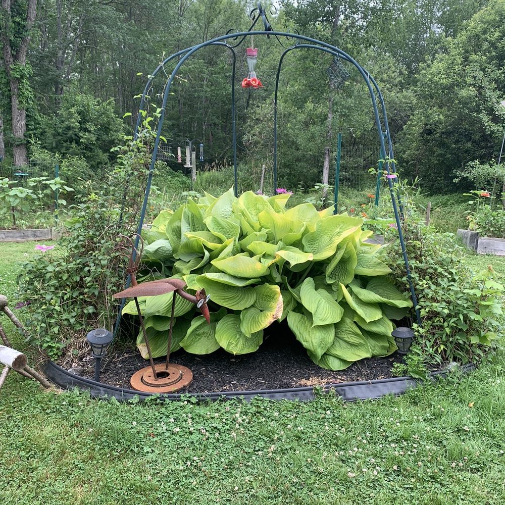 Jefferson Scoop - Big plants - Ice Cream & Frozen Yogurt Near Me - Jefferson, Maine Jefferson Scoop - Big plants - Ice Cream & Frozen Yogurt Near Me - Jefferson, Maine