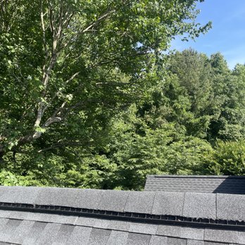 Aspen Tree Service - Removed limbs over roof - Tree Services Near Me Aspen Tree Service - Removed limbs over roof - Tree Services Near Me