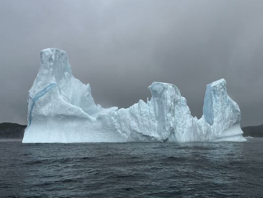 Daily Catch Restaurant by null