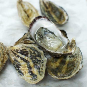 Pierless Fish Corporation - Seafood Markets Near Me - Brooklyn, New York