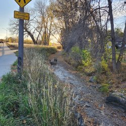 Red Fox Natural Area