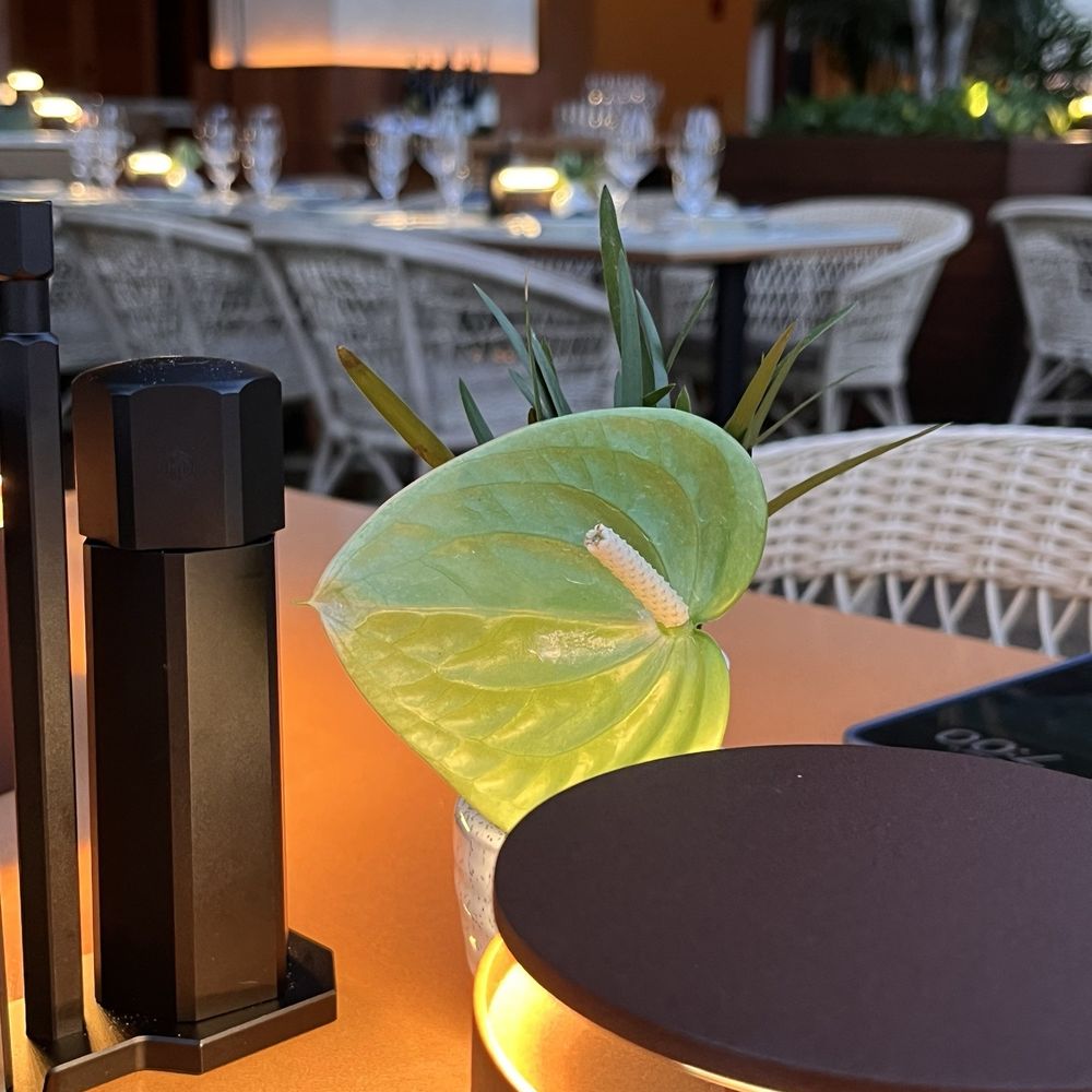 Osteria Mozza Residency - Italian Near Me - Lanai City, Hawaii Osteria Mozza Residency - Italian Near Me - Lanai City, Hawaii