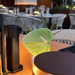 Osteria Mozza Residency