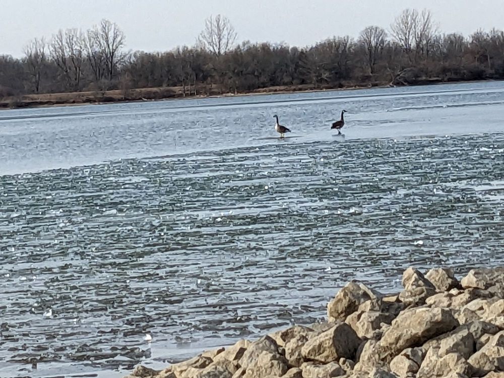 Summit Lake State Park