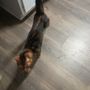 Muscogee County Humane Society