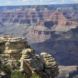 1AZ Select Transportation & Tours