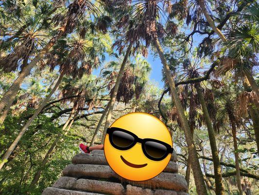 Philippe Park by null