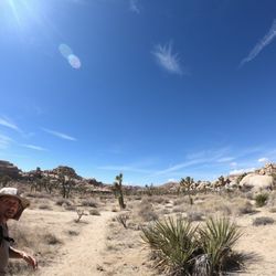 Joshua Tree Excursions