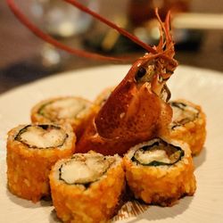 user provided TAKATO photo