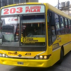 Línea 203