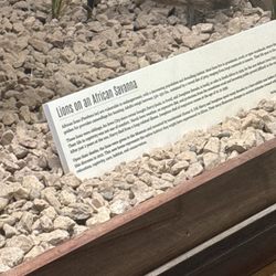 The University of Iowa Museum of Natural History