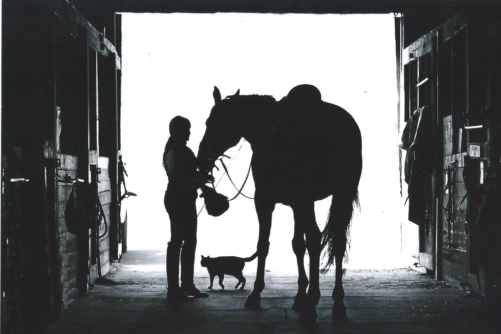 Martha Gregory Dressage Logo