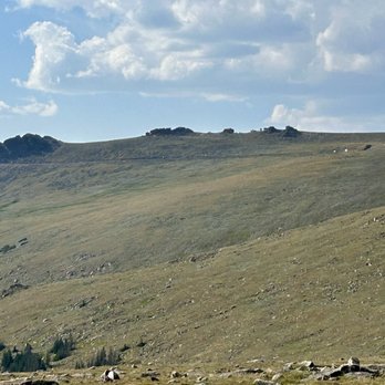 Trail Ridge Road - Trail Ridge Road from Forest Canyon Overlook - Parks Near Me Trail Ridge Road - Trail Ridge Road from Forest Canyon Overlook - Parks Near Me