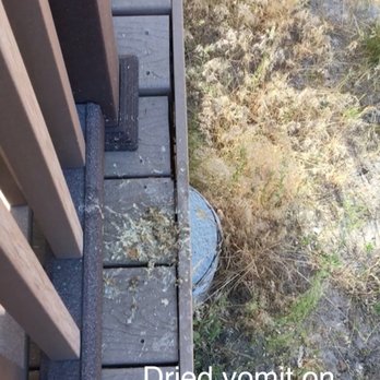 Big Bear Vacations - dried vomit on back deck. - Vacation Rentals Near Me - Big Bear Lake, California Big Bear Vacations - dried vomit on back deck. - Vacation Rentals Near Me - Big Bear Lake, California